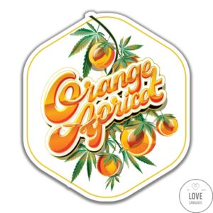 Love Cannabis - Orange Apricot - Feminized Cannabis Seeds
