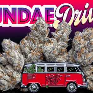 Love Cannabis - Sundae Driver - Feminized Cannabis Seeds