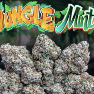 Love Cannabis - Jungle Mints - Feminized Cannabis Seeds