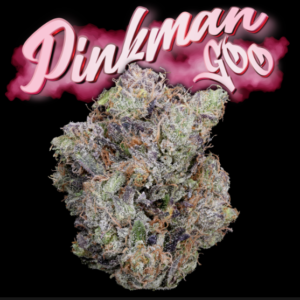 Love Cannabis - Pinkman Goo - Feminized Cannabis Seeds