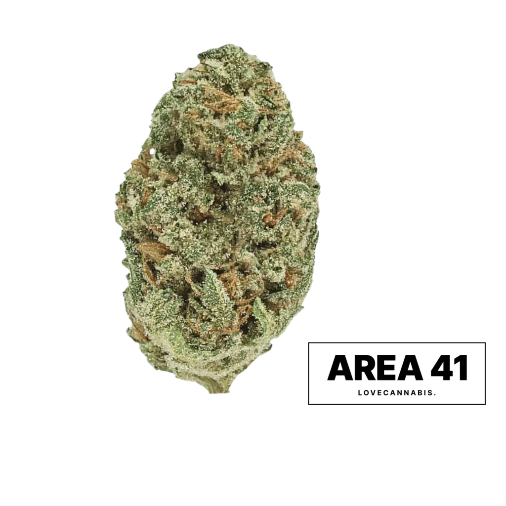 Ταξιανθία κάνναβης Area 41 από τη Love Cannabis
