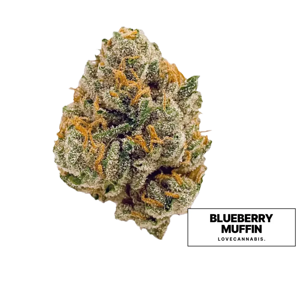 Love Cannabis 的 Blueberry Muffin 大麻花