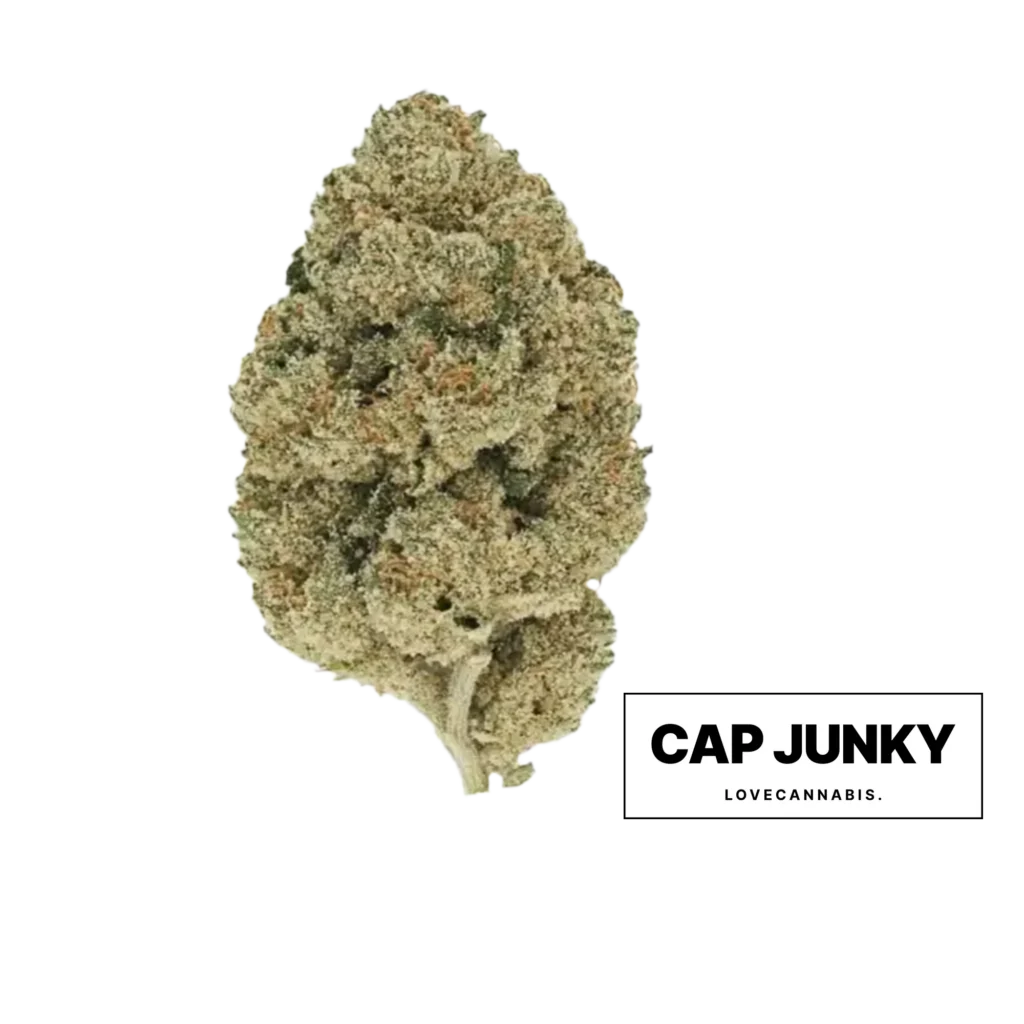 Love Cannabis 的 Cap Junky 大麻花
