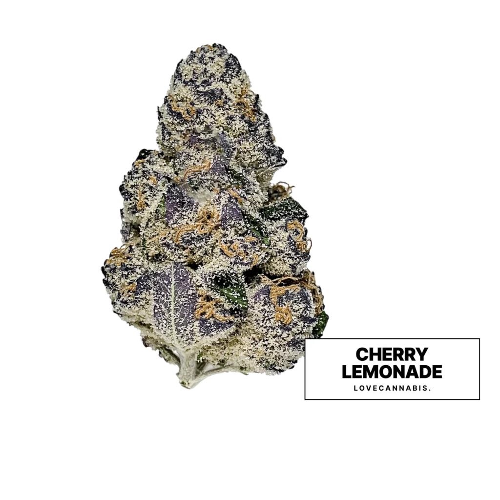 Cherry Lemonade Cannabisblüte von Love Cannabis