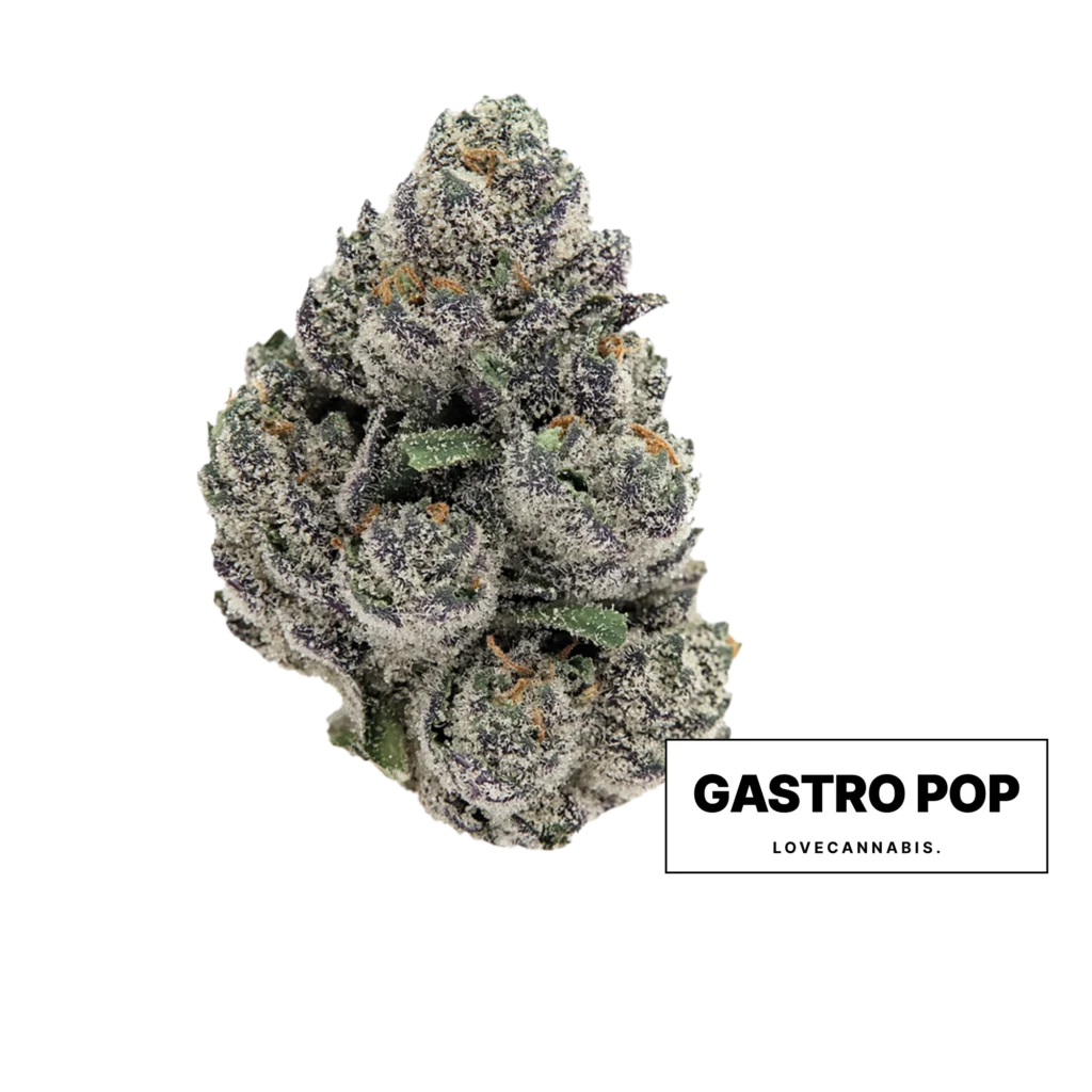 Love Cannabis 的 Gastro Pop 大麻花