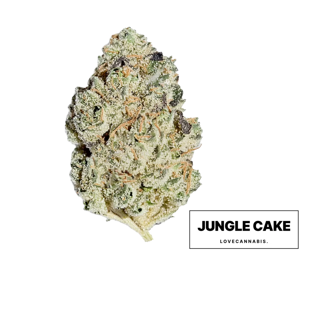 Соцветие каннабиса Jungle Cake от Love Cannabis