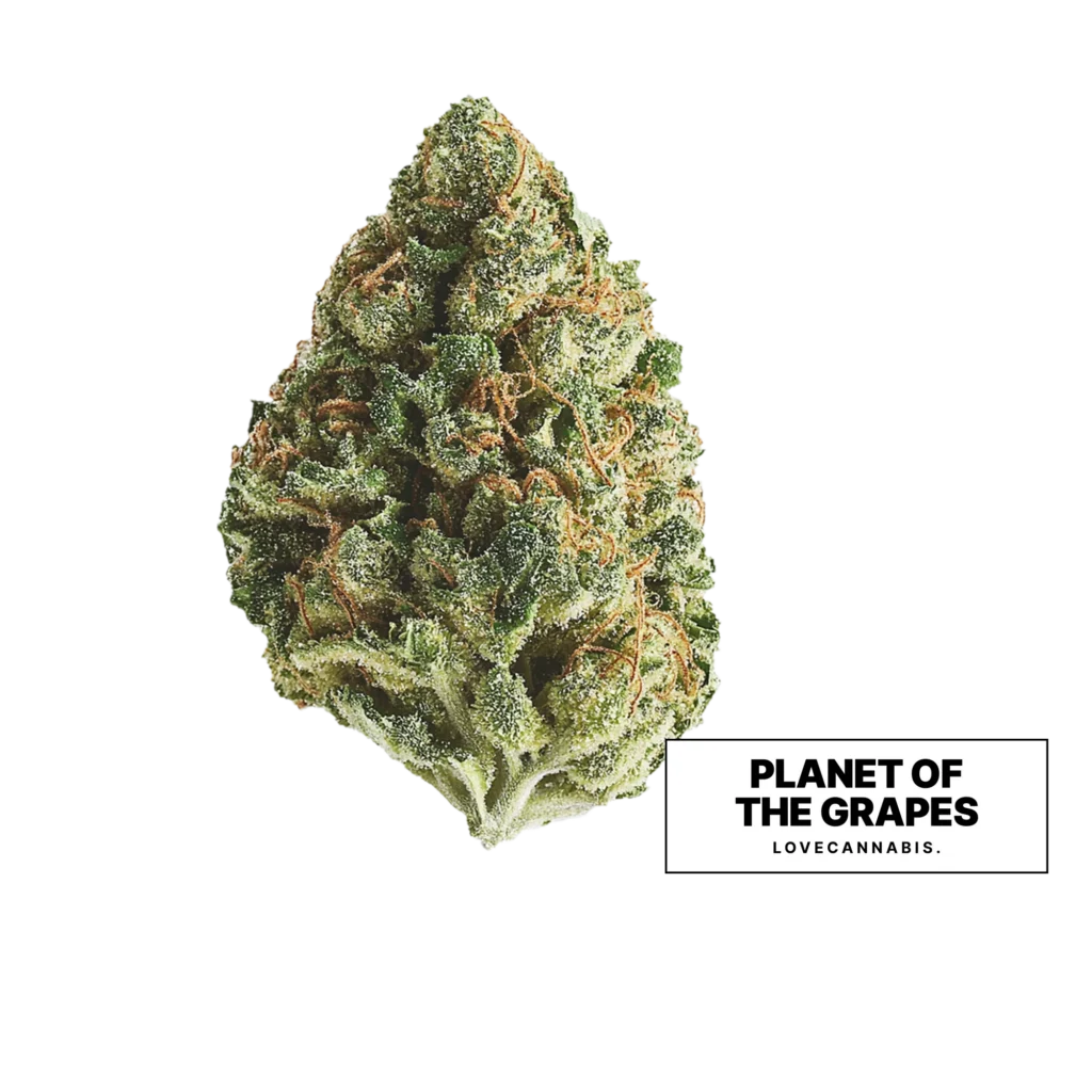 Love Cannabis 的 Planet of the Grapes 大麻花