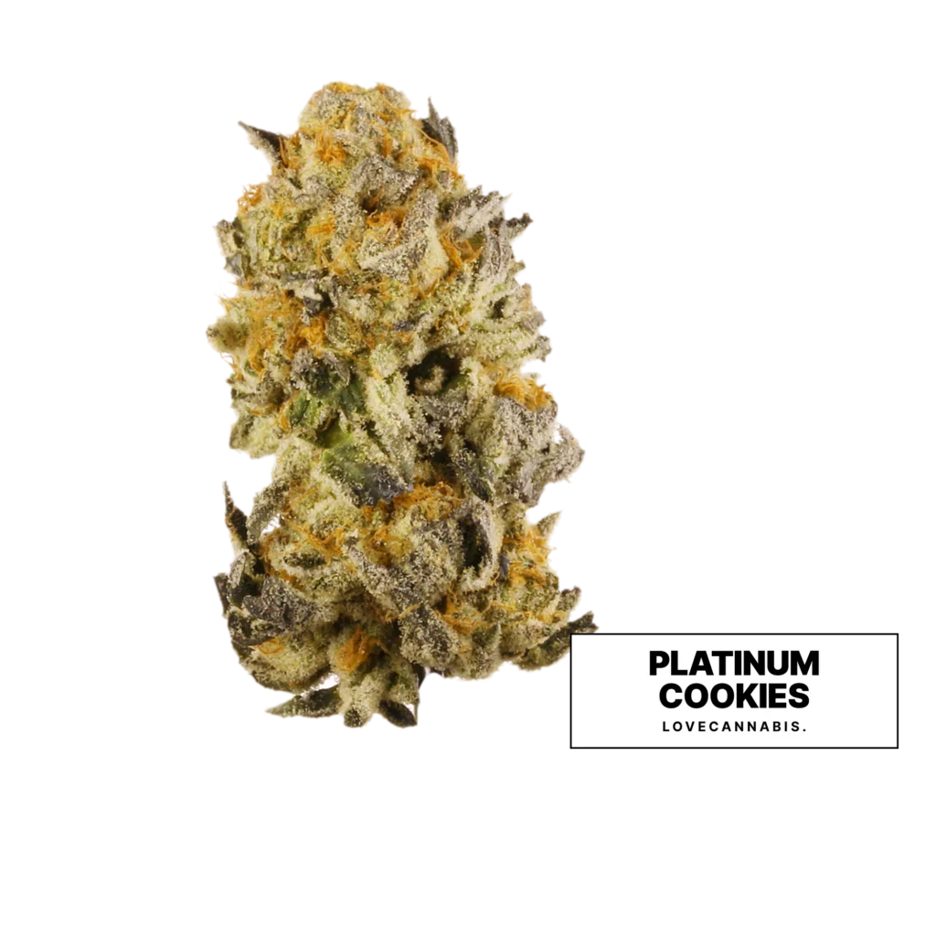 Суцвіття канабісу Platinum Cookies від Love Cannabis