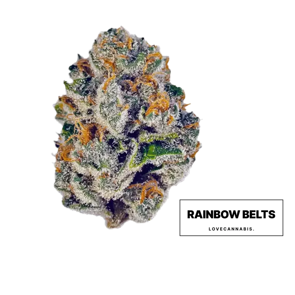 Rainbow Belts Cannabisblüte von Love Cannabis
