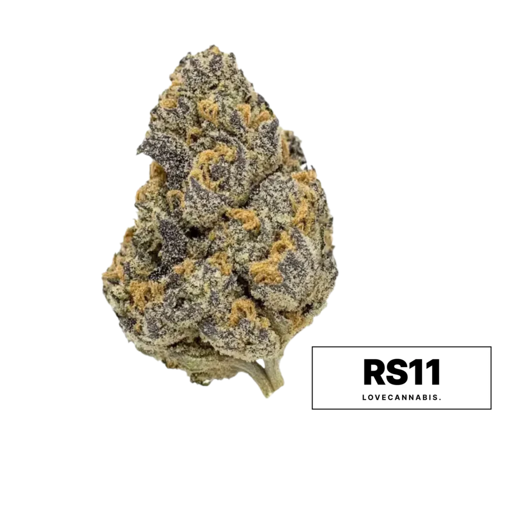 Květ konopí RS11 od Love Cannabis