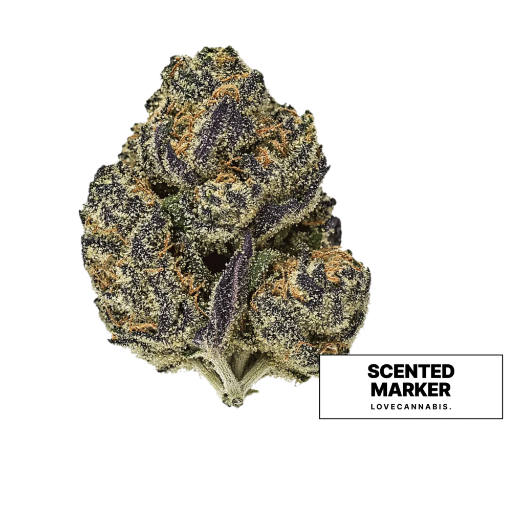 Love Cannabis의 Scented Marker 대마 꽃