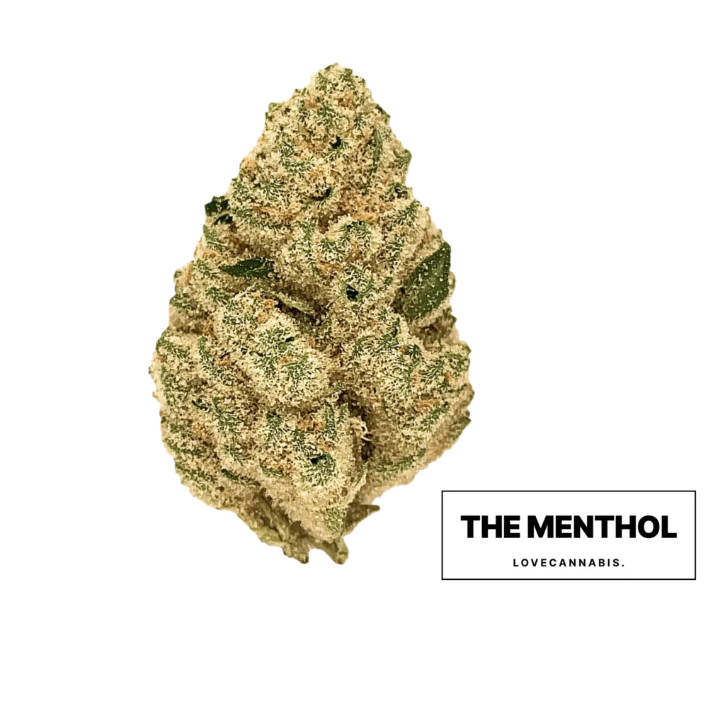 The Menthol Cannabisblüte von Love Cannabis