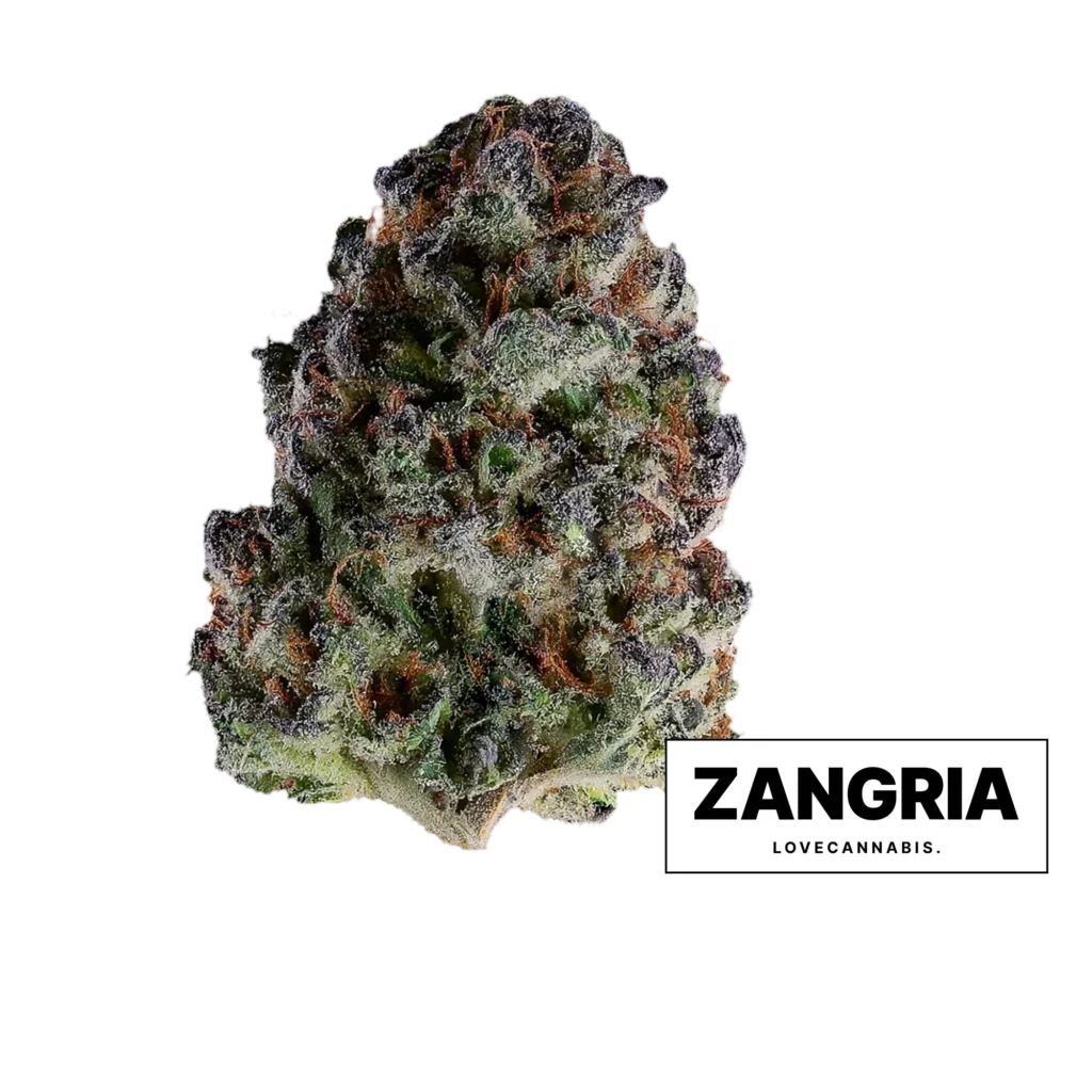 Fiore di cannabis Zangria di Love Cannabis