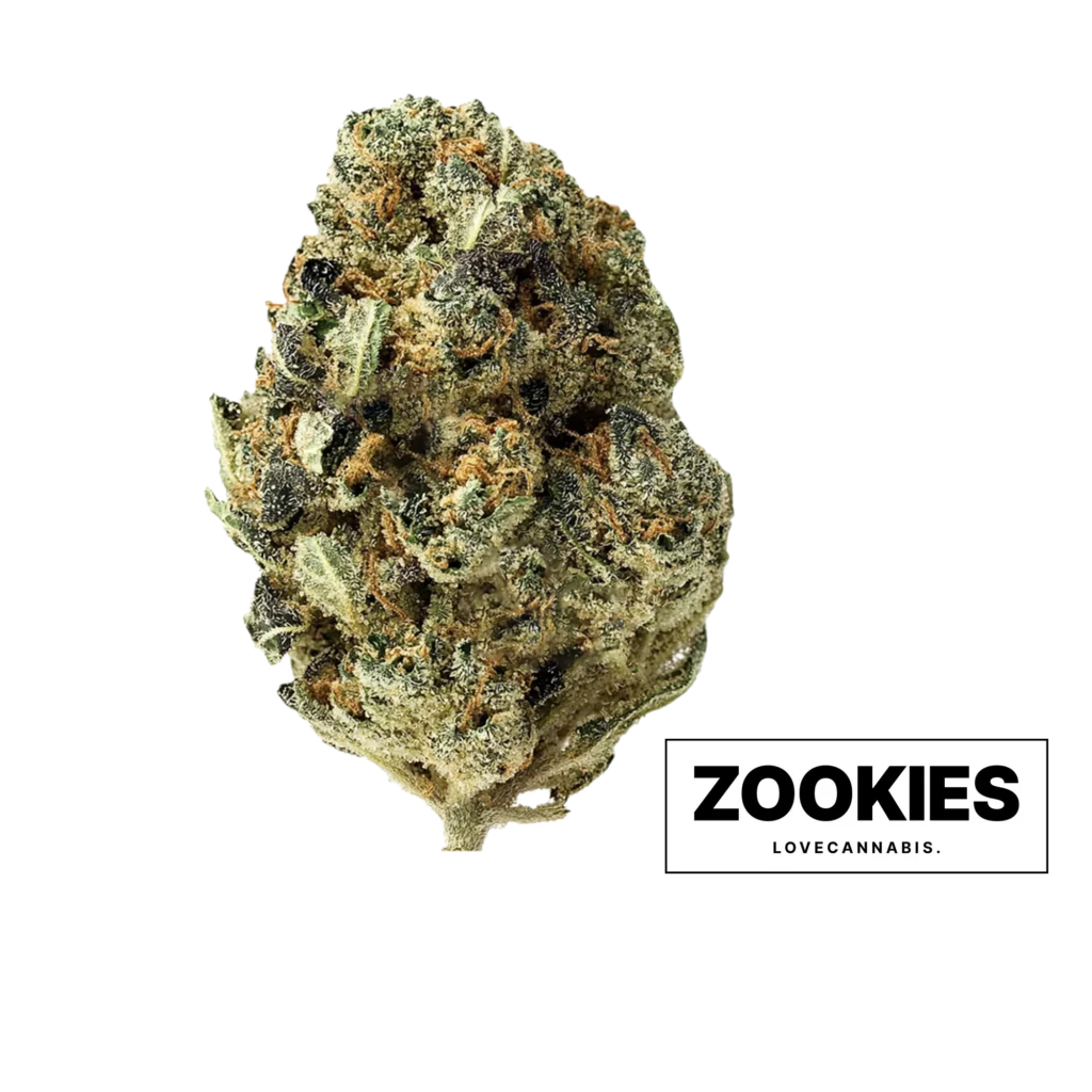 Суцвіття канабісу Zookies від Love Cannabis